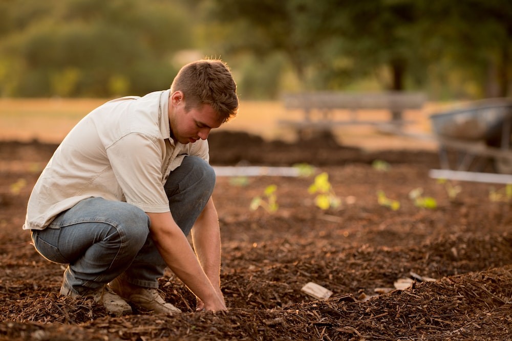 Corporate Social Responsibility Obligation for the Company