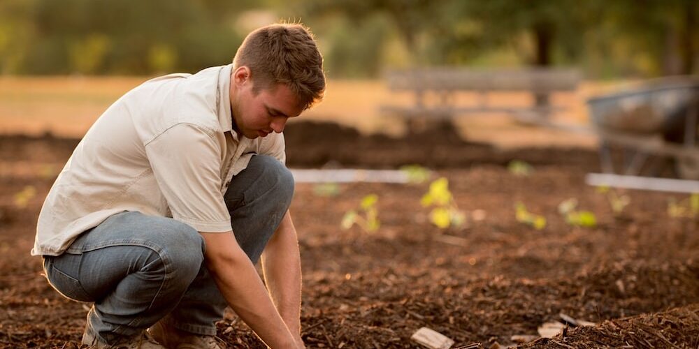 Corporate Social Responsibility Obligation for the Company