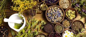 Mengulik Izin Edar Obat Herbal di Indonesia