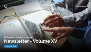 newsletter 15 - februari 2025