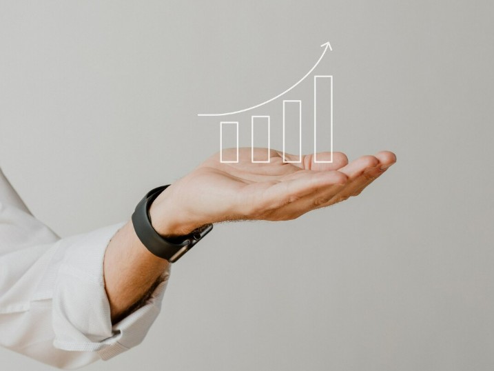 Employee Stock Option Program