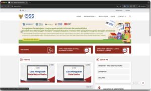 Sistem OSS Error