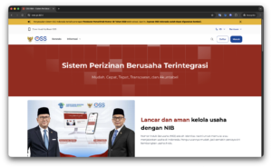Perusahaan PMA