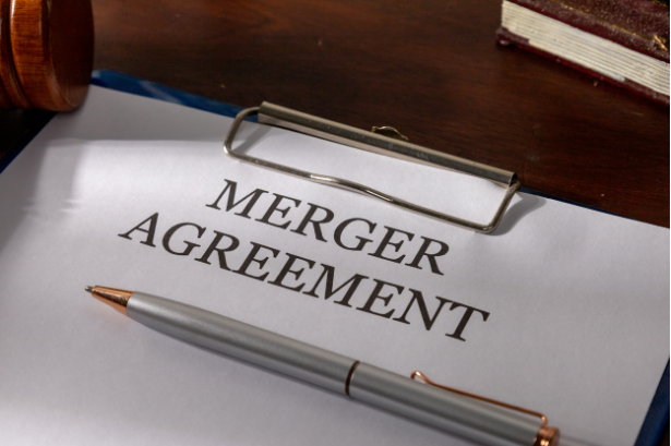 merger perusahaan induk dan anak